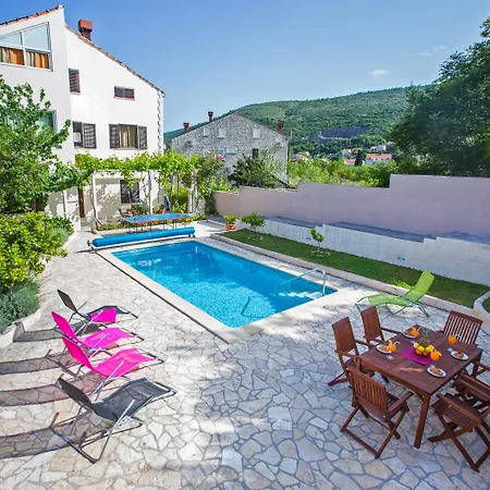 Apartment Roza